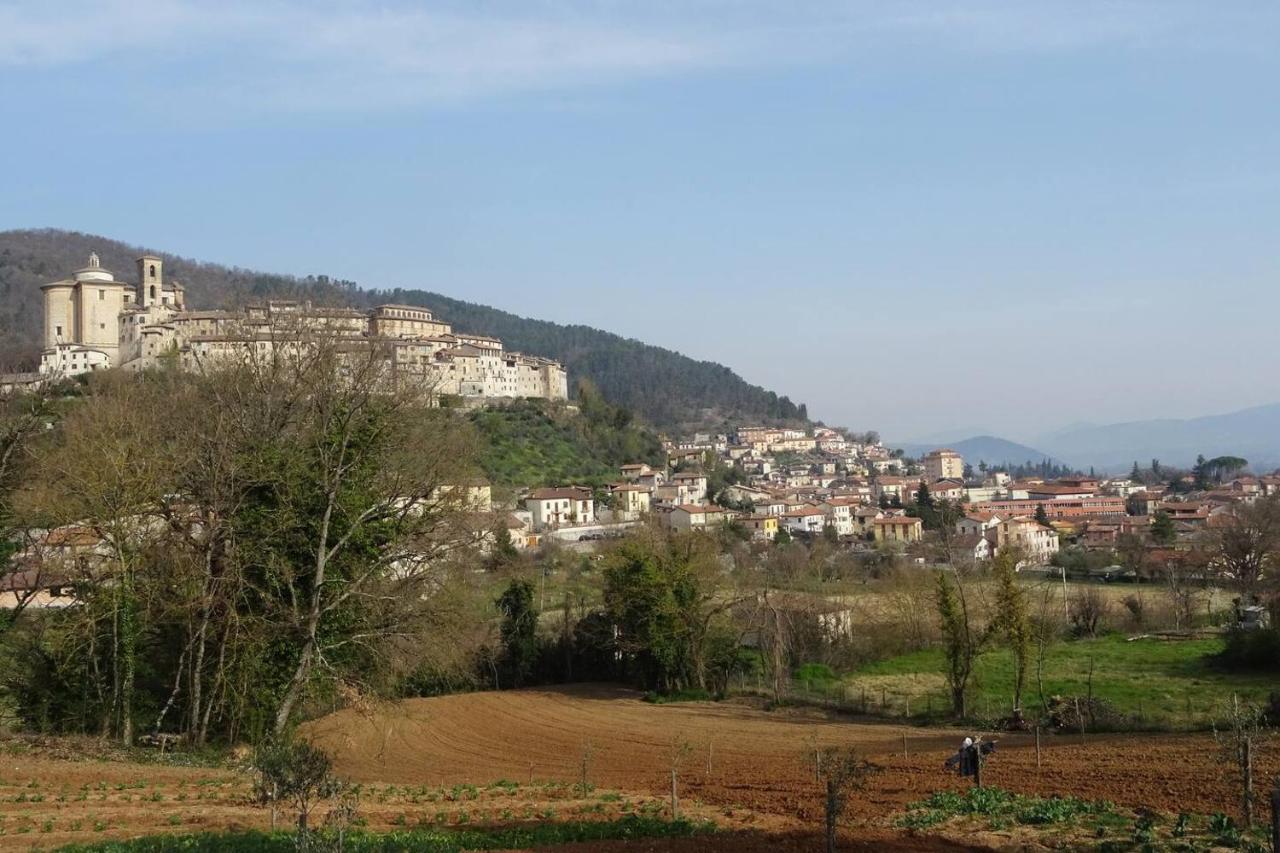 La Bottega Del Fabbro Affitto Breve Villa Contigliano Eksteriør bilde