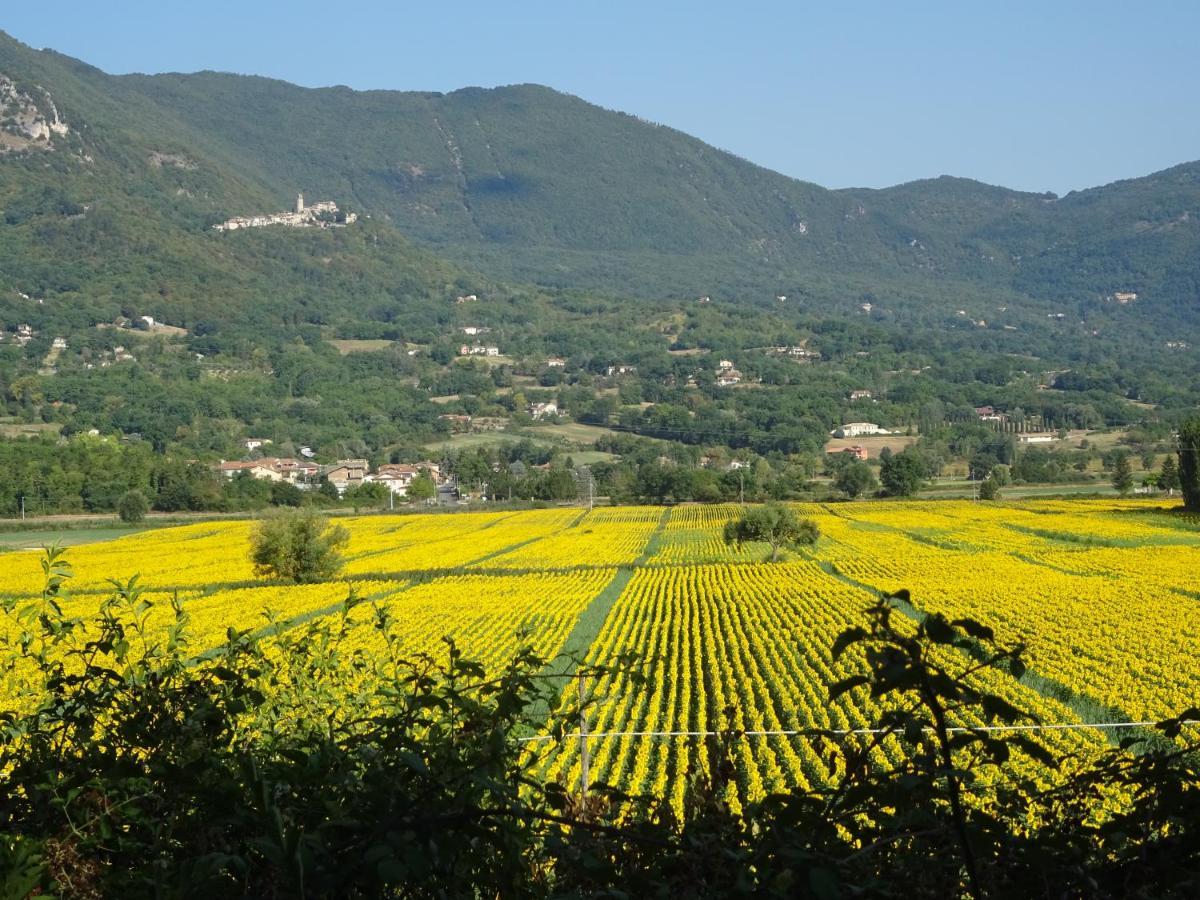 La Bottega Del Fabbro Affitto Breve Villa Contigliano Eksteriør bilde