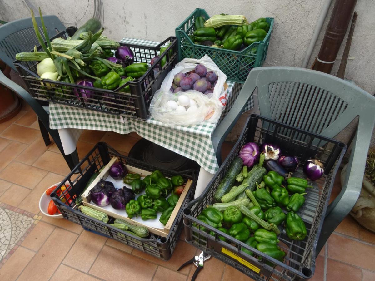 La Bottega Del Fabbro Affitto Breve Villa Contigliano Eksteriør bilde