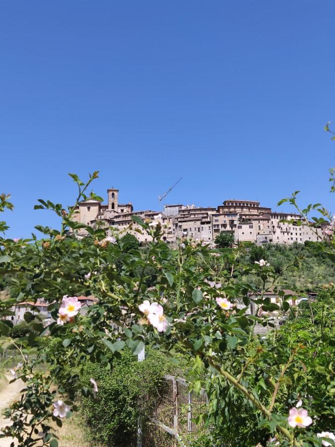 La Bottega Del Fabbro Affitto Breve Villa Contigliano Eksteriør bilde